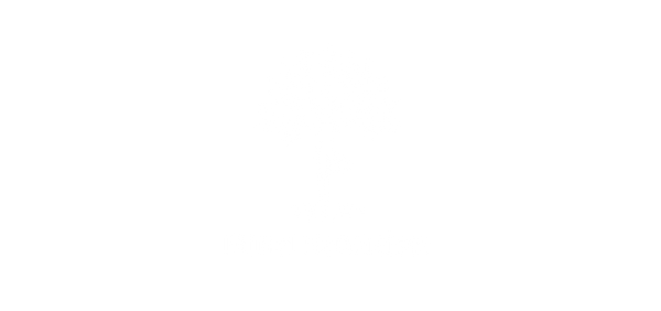 Mind Nutrition